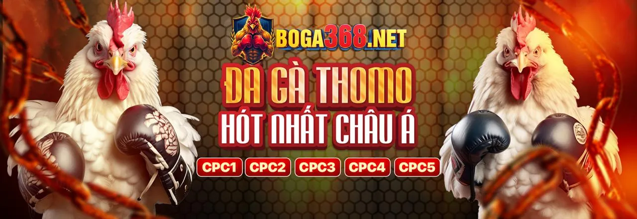 Hình ảnh chính 88won Live Casino